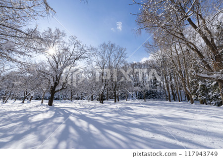 Snowy park Snowy park 117943749