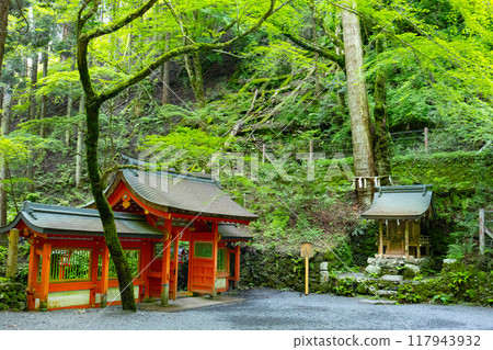 Kifune Shrine, Okumiya, Shinmon Gate, Hiyoshisha Shrine and Intertwined Cedars 117943932