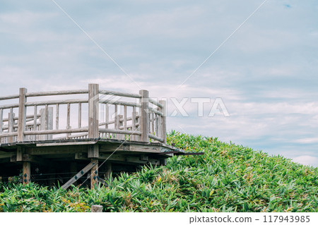 Walking trails in Shiretoko National Park 117943985