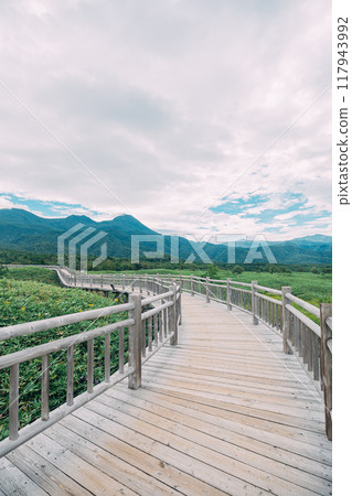 知床國立公園散步道 知床國立公園散步道 117943992