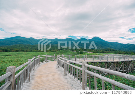Walking trails in Shiretoko National Park Walking trails in Shiretoko National Park 117943993