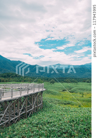 知床國立公園散步道 117943995