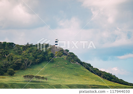 Beautiful summer scenery Beautiful summer scenery 117944030