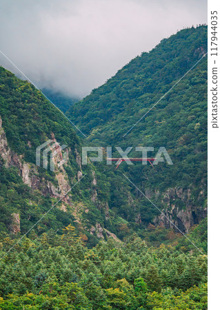 山面和橋樑被霧覆蓋 117944035