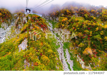 Tateyama Ropeway (October, Autumn, Clear) Tateyama Ropeway (October, Autumn, Clear) 117944047
