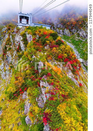Tateyama Ropeway (October, Autumn, Clear) 117944049