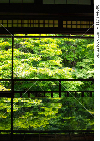 琉璃光院 - 從書院看到的藍色秋葉 117944080