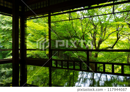 琉璃光院 - 從書院看到的藍色秋葉 117944087