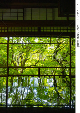 Ruriko-in Temple: Green foliage seen from the Shoin Ruriko-in Temple: Green foliage seen from the Shoin 117944096
