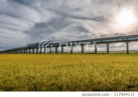 大洗鹿島線貫穿金色田野 大洗鹿島線貫穿金色田野 117944115