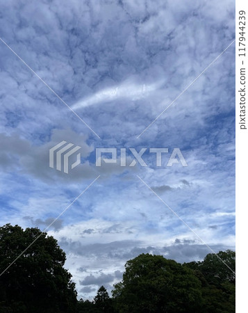Cloud Cloud 117944239