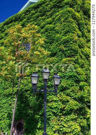 常春藤和戶外燈(札幌工廠)_6148 常春藤和戶外燈(札幌工廠)_6148 117944278