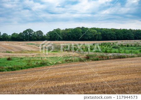 Colorful landscape with agriculture fields at the Danish countryside around Praesto, Denmark 117944573