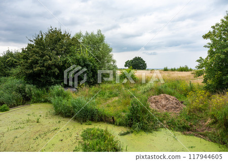 Green landscape with water ponds around Koge, Denmark Green landscape with water ponds around Koge, Denmark 117944605