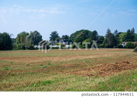 Dried out meadow and trees at the Brussels countryside in Anderlecht, Belgium Dried out meadow and trees at the Brussels countryside in Anderlecht, Belgium 117944631