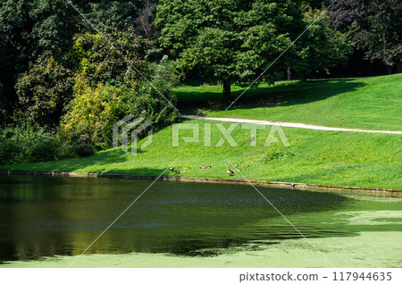 Water pond and green surroundings of the village park of Dilbeek, Belgium 117944635