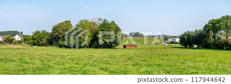 Green meadows and trees in the Pajottenland hills, Flemish Brabant 117944642
