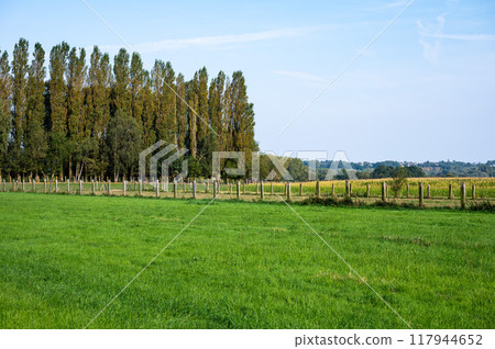 Green fields and meadows at the Flemish countryside in Affligem, Pajottenland, belgium 117944652