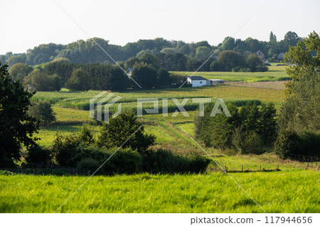 Green hills and trees at the Flemish countryside in Asse, Flemish Brabant, Belgium 117944656