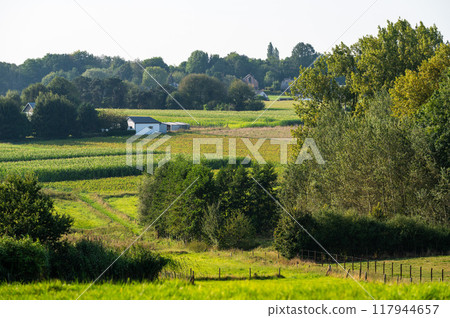 Green hills and trees at the Flemish countryside in Asse, Flemish Brabant, Belgium 117944657