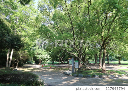 埼玉市三沼綠色中心風景 埼玉市三沼綠色中心風景 117945794