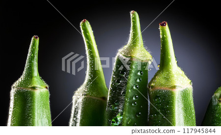 新鮮生蔬菜 新鮮生蔬菜 117945844