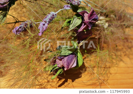 Dried smoke tree and Christmas rose flowers 117945993