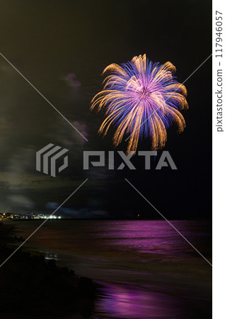 Fireworks Festival Hitachi City Kawarako 117946057