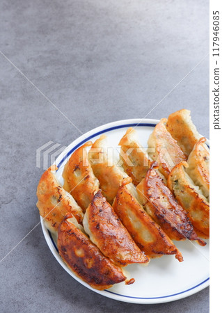 Grilled gyoza with delicious browned texture Grilled gyoza with delicious browned texture 117946085