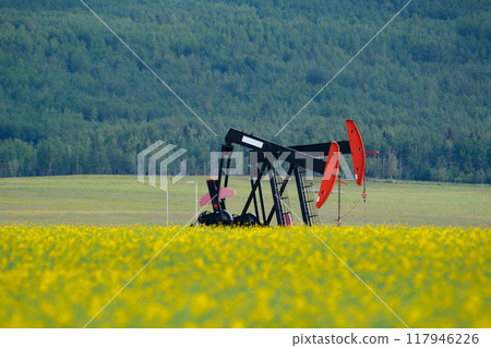 Pumpjack in the yellow blooming canola field and green forest hills in the background. Pumpjack in the yellow blooming canola field and green forest hills in the background. 117946226