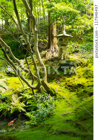 Ruri gakuin Wo dragon garden Ruri gakuin Wo dragon garden 117946497