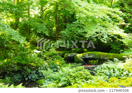 Ruri gakuin Wo龍花園 117946506