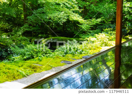 Rurikoin Ruri花園和門廊上倒映的藍色秋葉 117946511