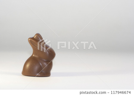 One chocolate Easter bunny on the white background with shadow. One chocolate Easter bunny on the white background with shadow. 117946674