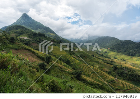 Rice Terrace View in Sapa Rice Terrace View in Sapa 117946919