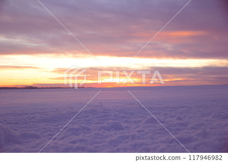 Purple and pink sunset in winter prairies, field is covered with snow and dramatic sky. Purple and pink sunset in winter prairies, field is covered with snow and dramatic sky. 117946982