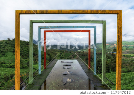 Sapa Green Tea Plantation Observation Sapa Green Tea Plantation Observation 117947012