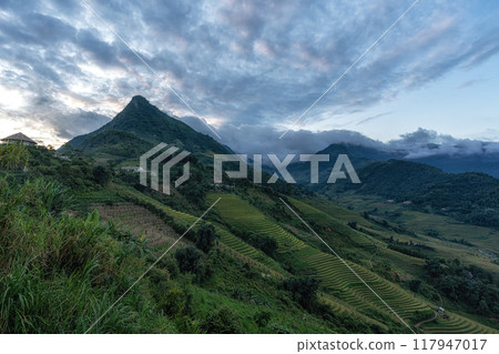 Rice Terrace Sunset View in Sapa Rice Terrace Sunset View in Sapa 117947017