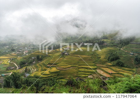 Sapa rice terrace field Sapa rice terrace field 117947064