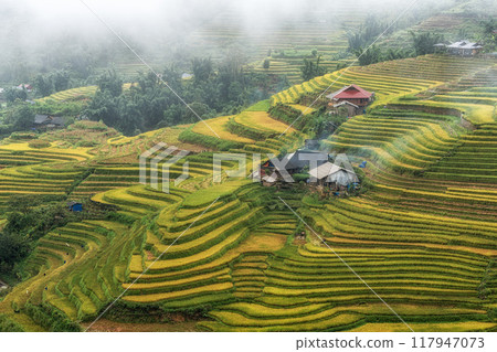 Farm house in Sapa Rice Terrace Farm house in Sapa Rice Terrace 117947073