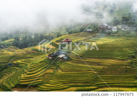 Farm house in Sapa Rice Terrace Farm house in Sapa Rice Terrace 117947075