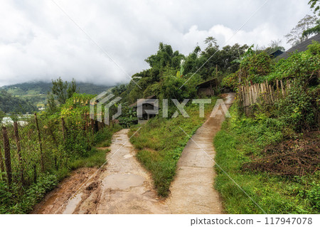 Small village in Sapa Vietnam 117947078