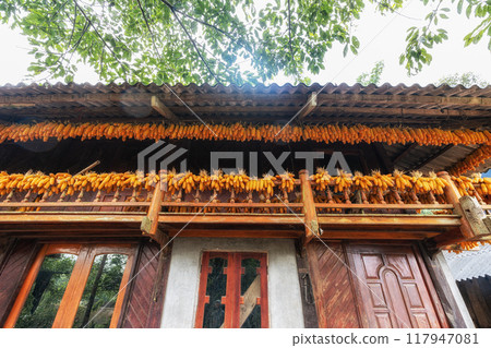 Corn cobs drying in Sapa 117947081