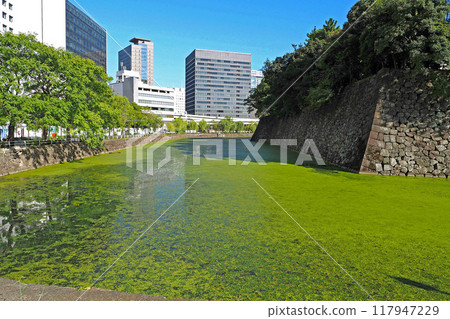舊江戶城（皇宮）的清水護城河[東京都千代田區] 117947229
