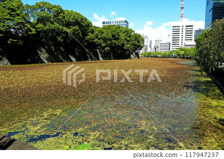 Kikyo Moat of the former Edo Castle (Imperial Palace) [Chiyoda Ward, Tokyo] 117947237