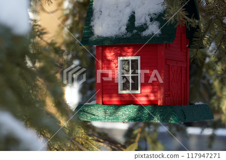 Red resin birdfeeder hanging on a tree in winter yard. Red resin birdfeeder hanging on a tree in winter yard. 117947271