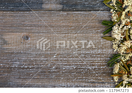Brown wooden table with dry Labrador tea border. 117947273