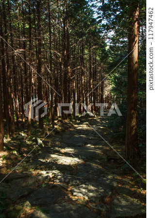 World heritage Kumano Kodo 117947462