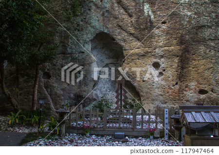 Flower cave god company 117947464