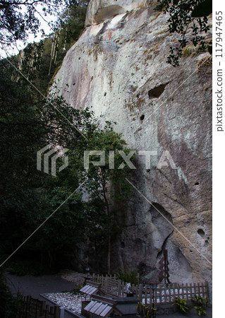 Flower cave god company 117947465